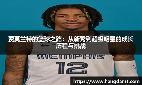 球速体育平台