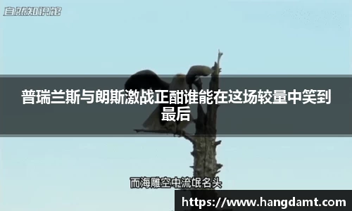 球速体育