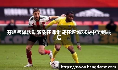 球速体育平台